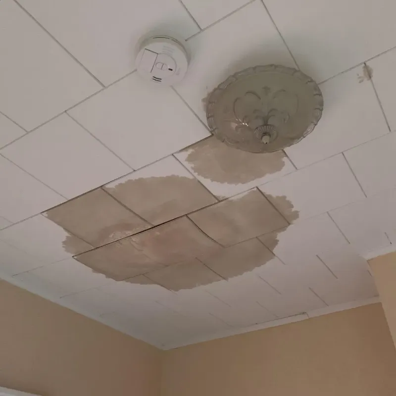Ceiling Water Damage Repair in Belpre, OH