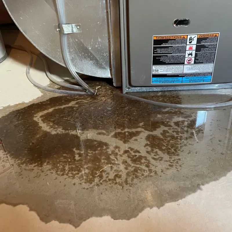 Pipe Burst and Leak Restoration in Belpre, OH