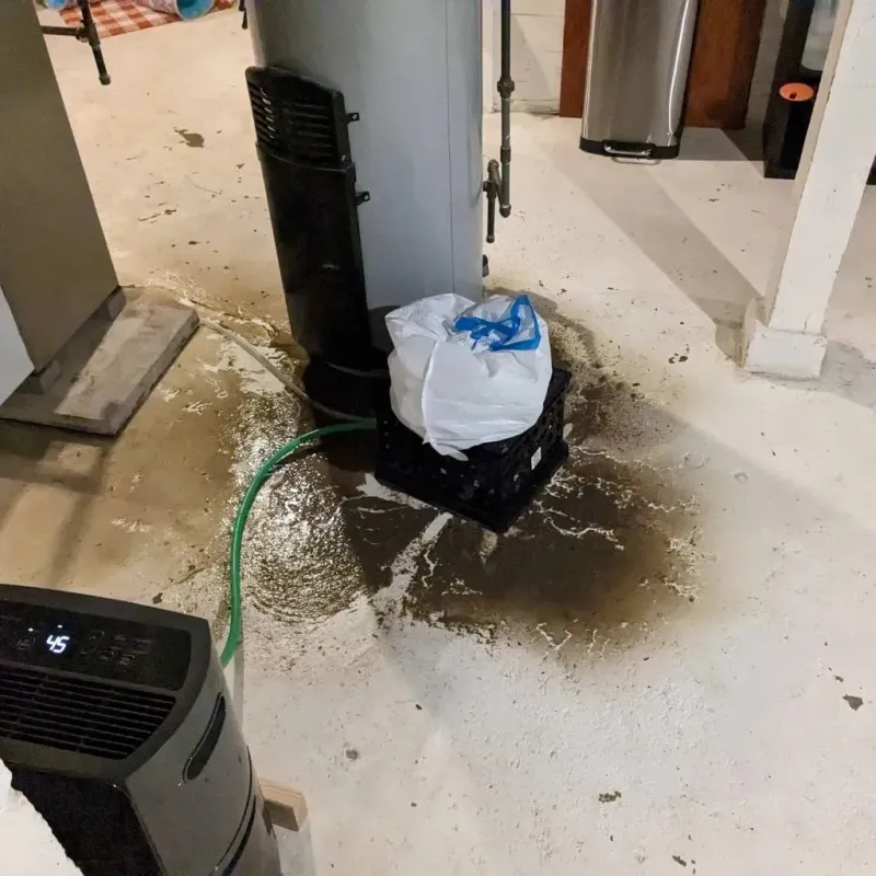Sewage Backup Cleanup Service in Belpre, OH